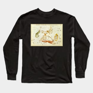 Constellations Lacerta, Cygnus, Lyra, Vulpecula and Anser from Urania's Mirror Long Sleeve T-Shirt